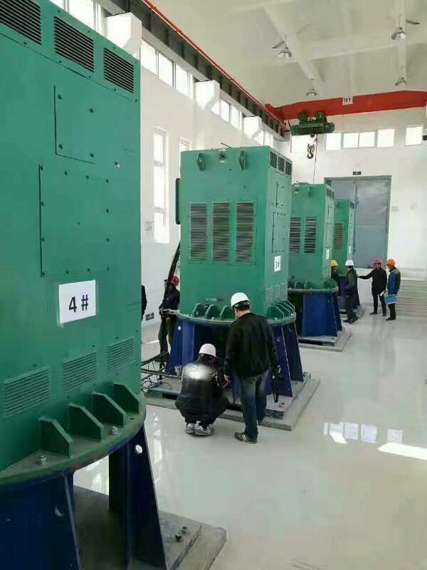 YJTFKK3551-2/220KW某污水处理厂使用我厂的立式高压电机安装现场