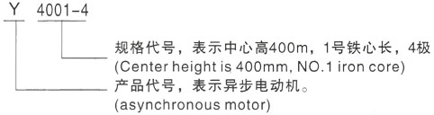 西安泰富西玛Y系列(H355-1000)高压YJTFKK3551-2/220KW三相异步电机型号说明