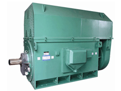 YJTFKK3551-2/220KWY系列6KV高压电机